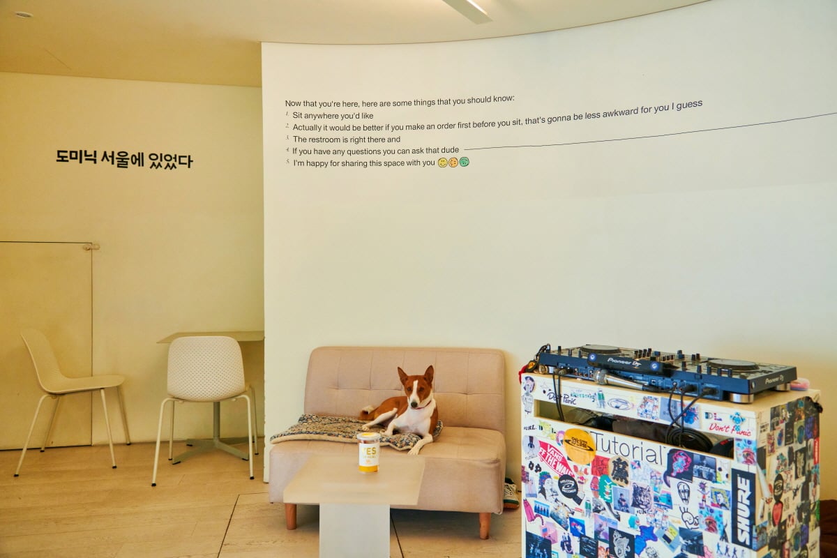 エリア別|ソウルで楽しむ韓国スイーツ